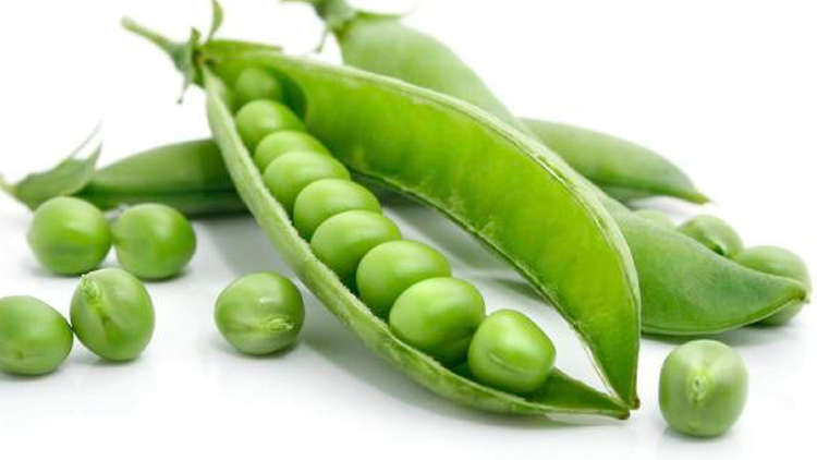 How to store Green Peas - Masala TV